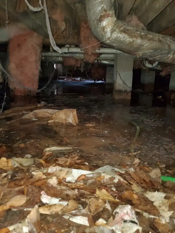 Crawl space flood assessment for Leak Detection & Repair in Duncanville