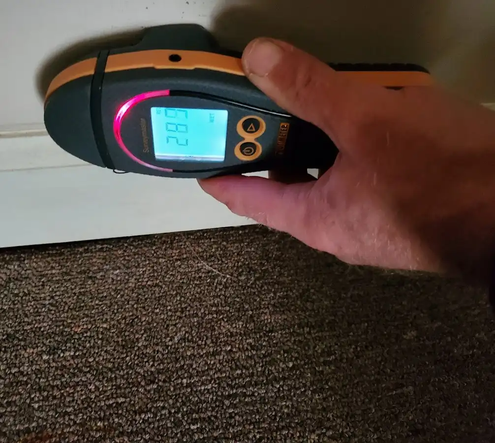 Moisture detection at baseboard during Mold Inspection & Testing in Duncanville